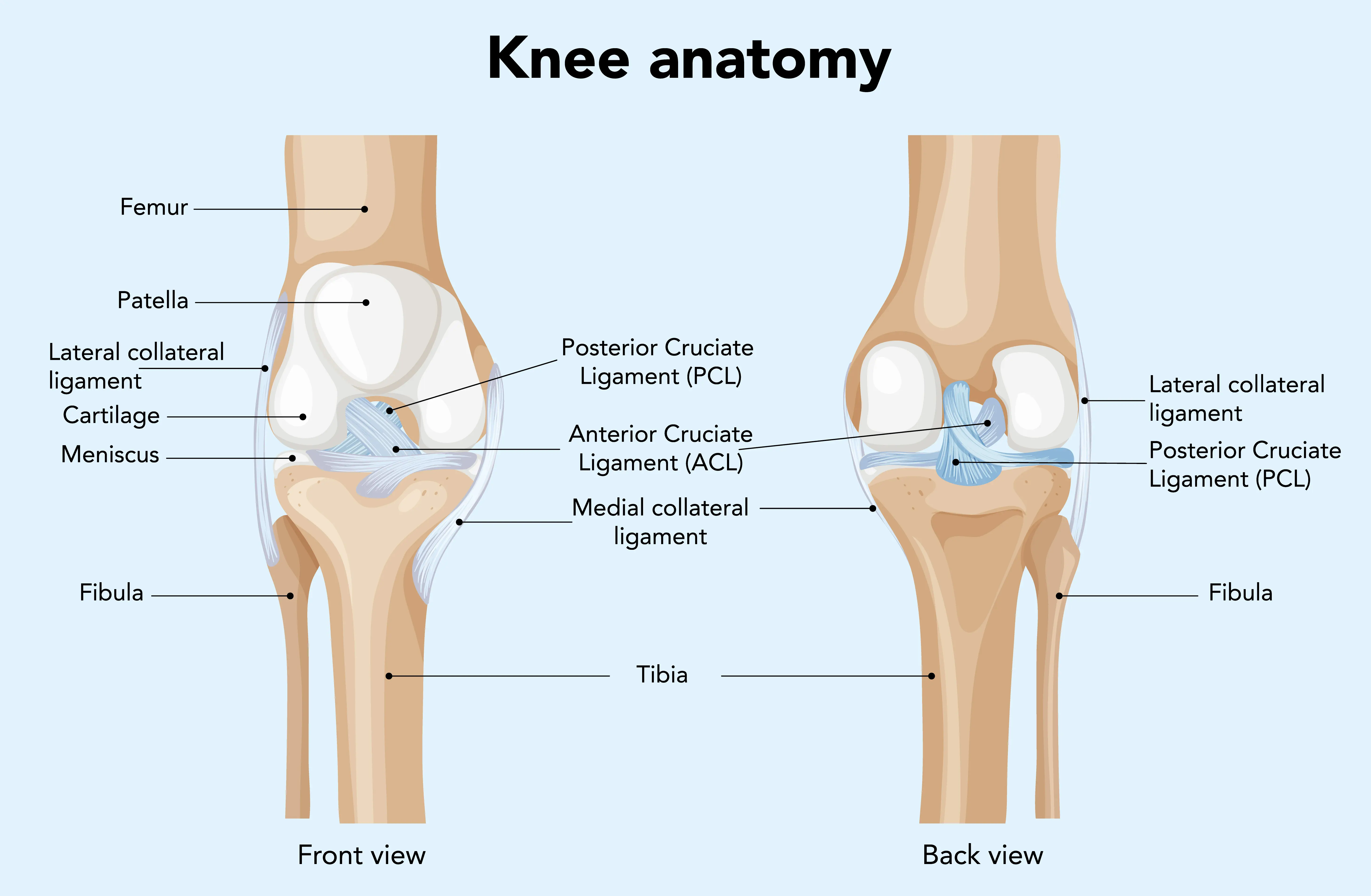 Physiotherapy